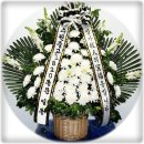 삼가-11 이미지