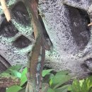 자연생태공원 자연생태박물관 이미지