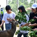 서귀중앙여자중학교 이미지