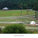 봉화목장 이미지