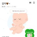 임신기록 37w: 임신후기/분만방법/태동검사/출산휴가/제왕절개