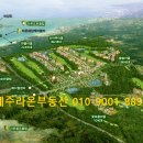 라온제주 이미지