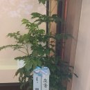 주식회사아워스 이미지