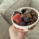 순수그릭 | 의정부 그릭요거트 그릭당 무가당 플레인 500g 후기