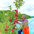 영농조합법인 오성 이미지