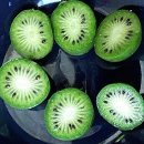 진상농장 이미지