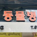 더독동물병원 이미지