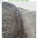 남부 부부시비 이미지