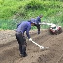 삼부자농장 이미지