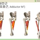 썸머핏