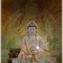 나무와 해(海) 이미지