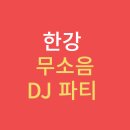 P-5K11 | 2025 한강 무소음 DJ파티 일정·예매·후기 총정리
