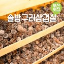 금곡 지하철역 | 부산 북구 금곡동 맛집 고깃집 점심 솔방구리삼겹살 금곡직영점