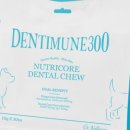 도시덴탈 이미지