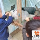 다백농장 이미지