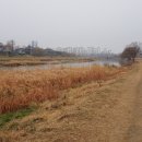 고향국밥 티스토리