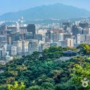 서울포목 - 영천시 시장2길 10 | 서울포목