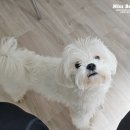 버니로그 #001 : 반가운 인사, 간만에 인천 나들이