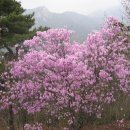 불광1-019 이미지