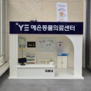 루이티크라운 | 강아지 치은종 제거 & 조직검사, 스케일링 후기