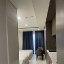 세운호텔 | 서울호텔 추천 호텔 더 보타닉 세운 명동 숙박 후기