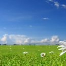 초원컴퓨터 이미지