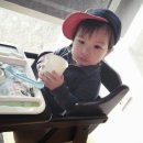 꼬민이네 | 힐링여행 :-)