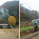 인제자연학교 캠핑장 이미지