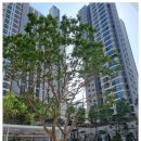 범천작은도서관 이미지