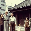 태양을향하여 이미지