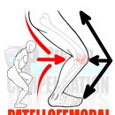 금곡헬스 이미지