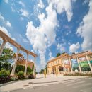 퍼스트가든 동물카페 이미지