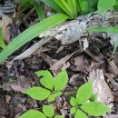 기분좋은날 이미지