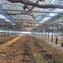 광록농장 이미지