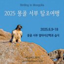 쇠재공원 | 2025 몽골 서부 탐조 여행 :알타이산맥 (9박10일)