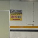 덕천노글루펌 고민된다면? 마라뷰티 덕천점 자연스럽게 이뻐지는 덕천블랙팅틴펌 후기