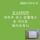 종만농장 | 2024-코스타리카 로스 앙헬레스 돈 카이토 화이트허니