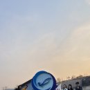 니나노 다이브 네이버블로그