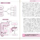 발효의 책 64 "또 하나의 장기(臟器)"가 건강을 지탱하고 있다. 이미지