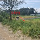 서구-02-09 이미지