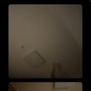 장충동왕족발보쌈 이미지