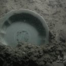 해로수중 이미지