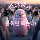 핑크펭귄