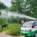 강남-177 이미지