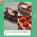 대저평강하나로마트 | 오매!지산&amp;와우딸기 죽향, 성주꿀참외.어텀크리스피.세이블포도.유레카선라이즈블루베리.대저짭짤이토마토.