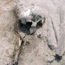 도기크루 | [선사유럽] 선사 시대 폴란드 식단에 드러난 놀라운 생존 전략