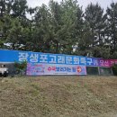 공예품직판장 | 2025 장생포 수국축제 페스티벌 | 일정 셔틀버스 주차꿀팁 입장료 반려동물 실시간 솔직후기