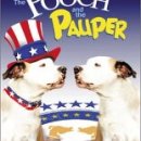 THE POOCH(푸치) 이미지