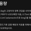 연곡약국 이미지