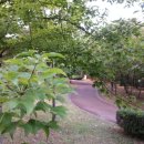 메낙골공원 이미지